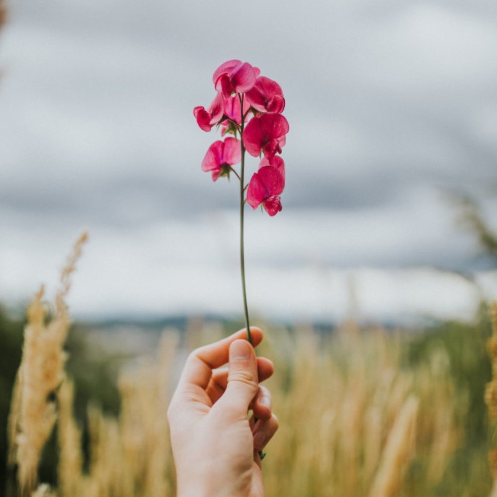 Meet your Posher, Meghan